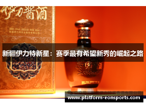 新疆伊力特新星：赛季最有希望新秀的崛起之路