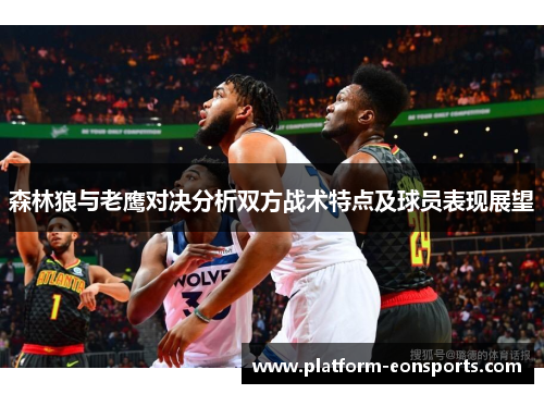 森林狼与老鹰对决分析双方战术特点及球员表现展望